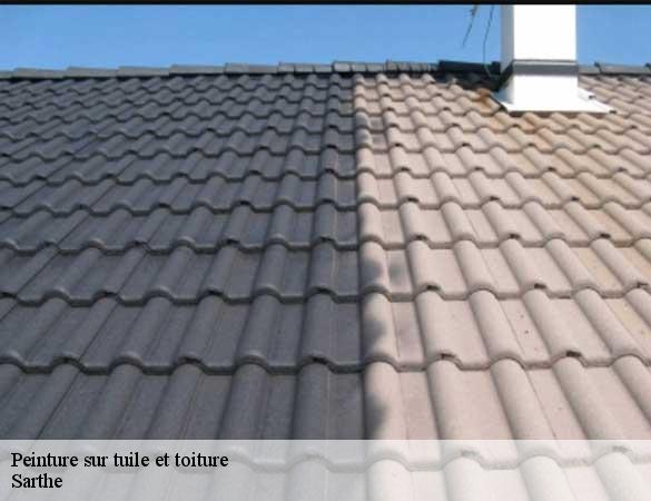 Peinture sur tuile et toiture 72 Sarthe Artisan Chasagrande