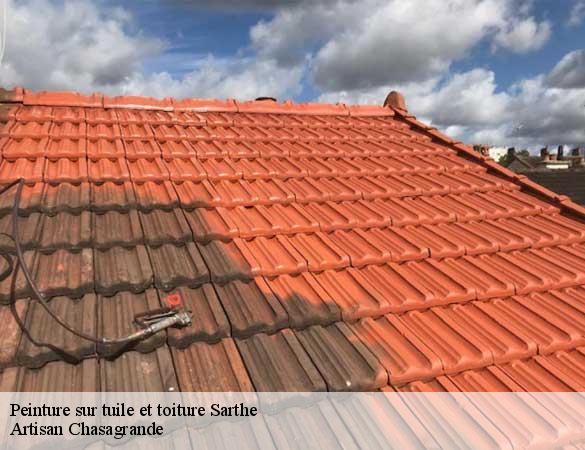 Peinture sur tuile et toiture 72 Sarthe  Artisan Chasagrande