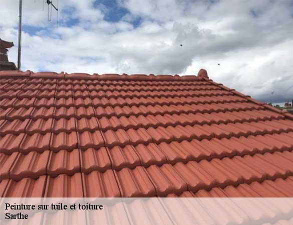 Peinture sur tuile et toiture 72 Sarthe Artisan Chasagrande