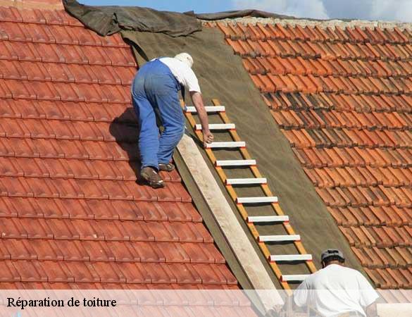Réparation de toiture 72 Sarthe Artisan Chasagrande