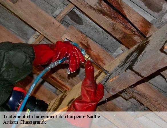 Traitement et changement de charpente 72 Sarthe Artisan Chasagrande