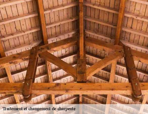 Traitement et changement de charpente 72 Sarthe  Artisan Chasagrande