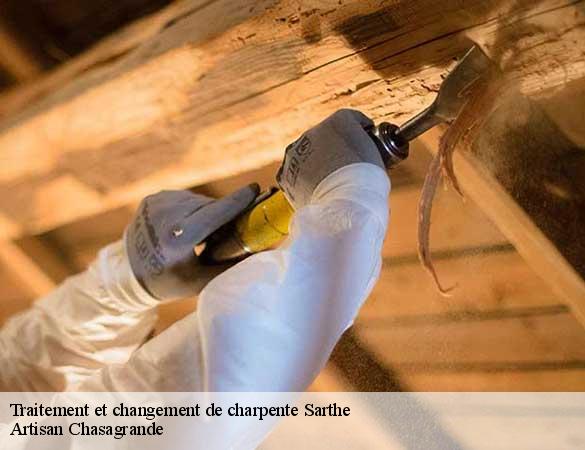 Traitement et changement de charpente 72 Sarthe  Artisan Chasagrande