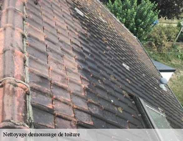 Nettoyage demoussage de toiture  ancinnes-72610 Artisan Chasagrande