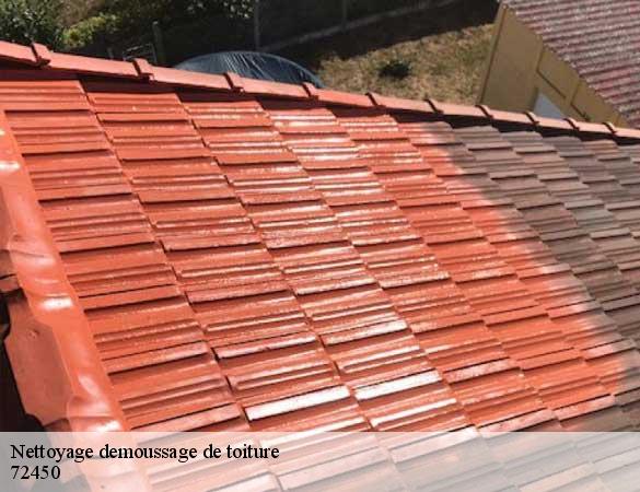 Nettoyage demoussage de toiture  lombron-72450 Artisan Chasagrande