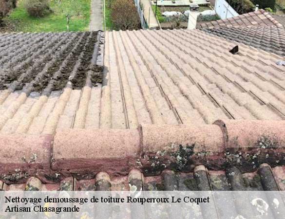 Nettoyage demoussage de toiture  rouperroux-le-coquet-72110 Artisan Chasagrande