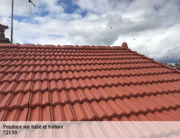 Peinture sur tuile et toiture  asse-le-boisne-72130 Artisan Chasagrande