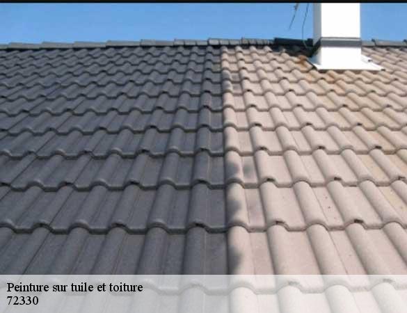 Peinture sur tuile et toiture  cerans-foulletourte-72330 Artisan Chasagrande