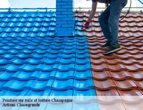 Peinture sur tuile et toiture  champagne-72470 Artisan Chasagrande