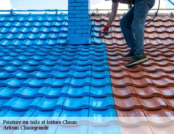 Peinture sur tuile et toiture  chenu-72500 Artisan Chasagrande
