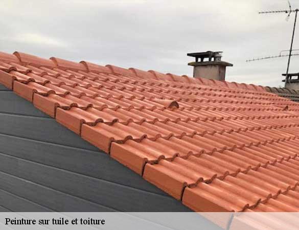 Peinture sur tuile et toiture clermont-creans-72200 Artisan Chasagrande