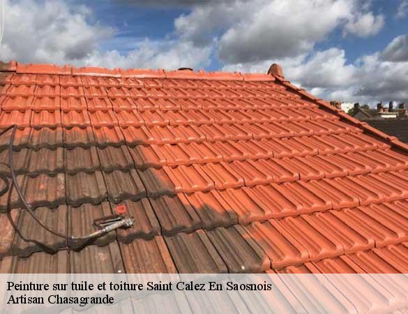 Peinture sur tuile et toiture  saint-calez-en-saosnois-72600 Artisan Chasagrande