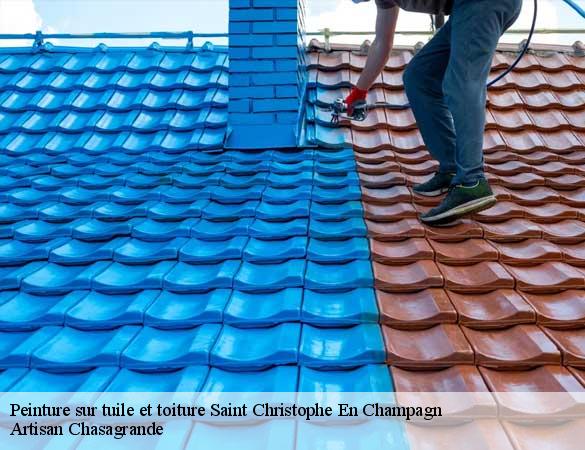 Peinture sur tuile et toiture  saint-christophe-en-champagn-72540 Artisan Chasagrande