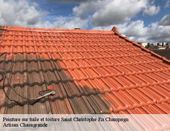 Peinture sur tuile et toiture  saint-christophe-en-champagn-72540 Artisan Chasagrande