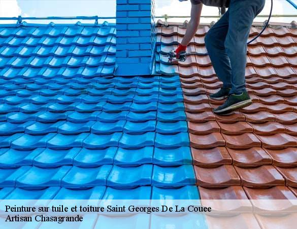 Peinture sur tuile et toiture  saint-georges-de-la-couee-72150 Artisan Chasagrande