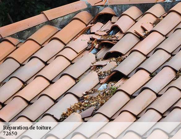 Réparation de toiture  72650