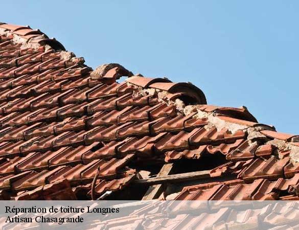 Réparation de toiture  longnes-72540 Artisan Chasagrande