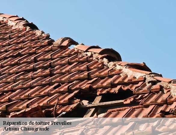 Réparation de toiture  prevelles-72110 Artisan Chasagrande