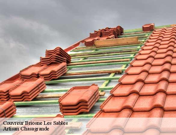 Couvreur briosne-les-sables-72110 Artisan Chasagrande