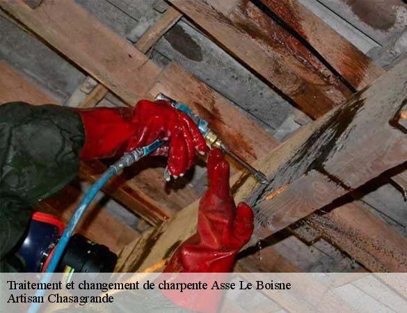 Traitement et changement de charpente  asse-le-boisne-72130 Artisan Chasagrande