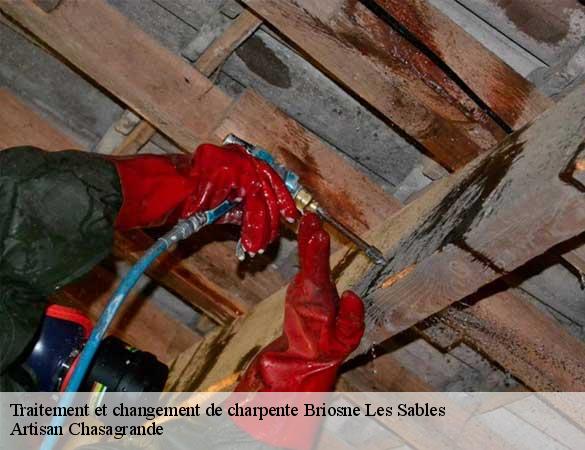 Traitement et changement de charpente  briosne-les-sables-72110 Artisan Chasagrande