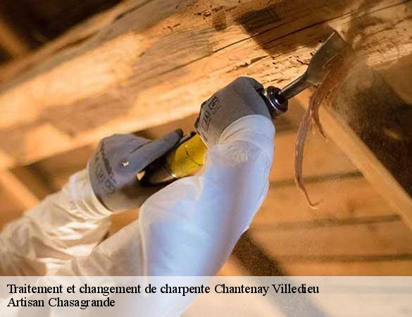 Traitement et changement de charpente  chantenay-villedieu-72430 Artisan Chasagrande