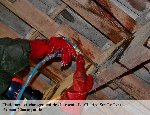 Traitement et changement de charpente  la-chartre-sur-le-loir-72340 Artisan Chasagrande