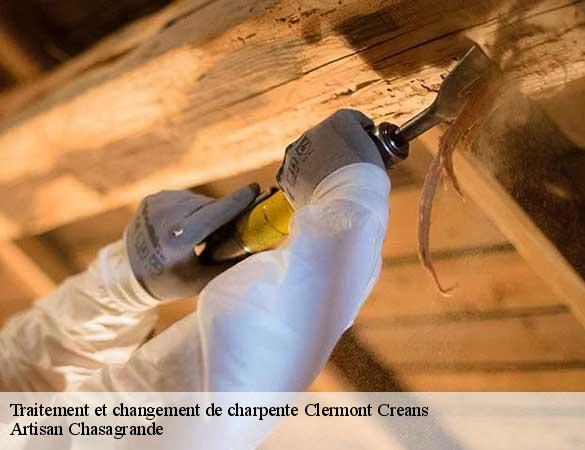 Traitement et changement de charpente  clermont-creans-72200 Artisan Chasagrande