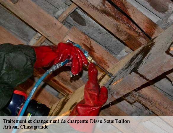 Traitement et changement de charpente  disse-sous-ballon-72260 Artisan Chasagrande