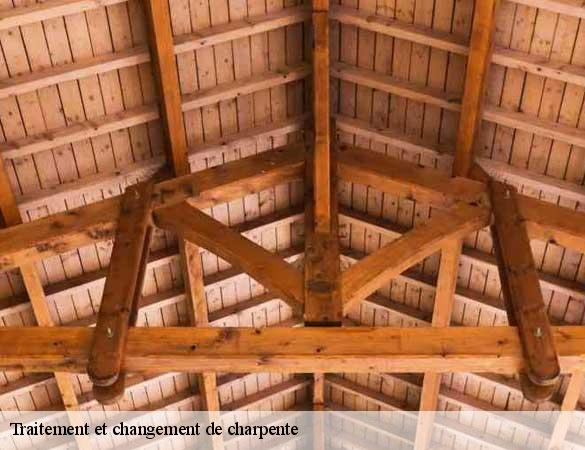 Traitement et changement de charpente  ligron-72270 Artisan Chasagrande