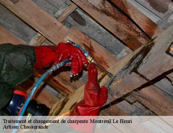 Traitement et changement de charpente  montreuil-le-henri-72150 Artisan Chasagrande