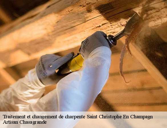 Traitement et changement de charpente  saint-christophe-en-champagn-72540 Artisan Chasagrande