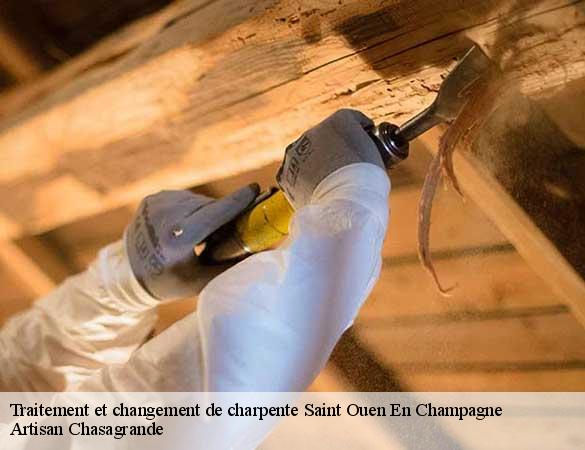 Traitement et changement de charpente  saint-ouen-en-champagne-72350 Artisan Chasagrande