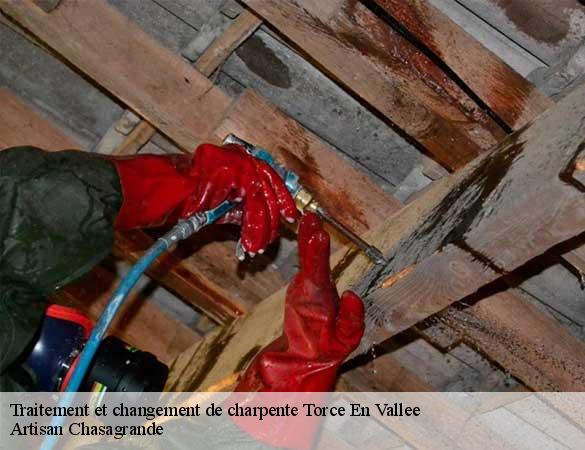 Traitement et changement de charpente  torce-en-vallee-72110 Artisan Chasagrande