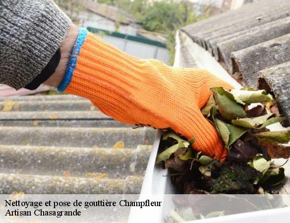 Nettoyage et pose de gouttière  champfleur-72610 Artisan Chasagrande