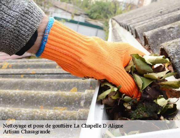 Nettoyage et pose de gouttière  la-chapelle-d-aligne-72300 Artisan Chasagrande