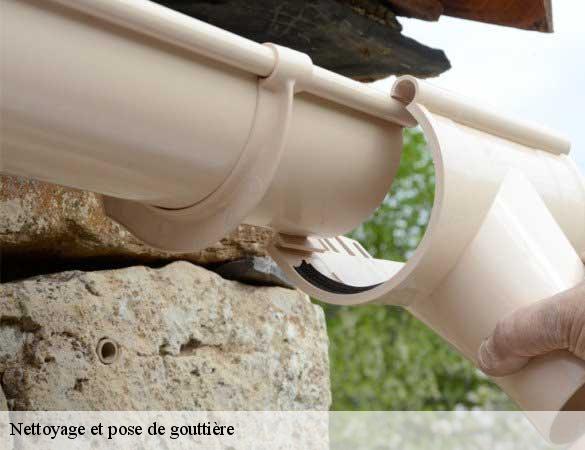 Nettoyage et pose de gouttière  chasse-72670 Artisan Chasagrande