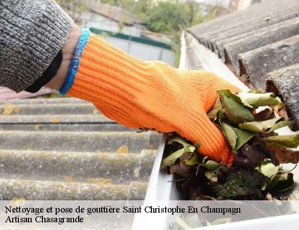 Nettoyage et pose de gouttière  saint-christophe-en-champagn-72540 Artisan Chasagrande