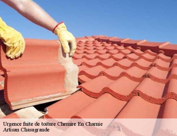 Urgence fuite de toiture  chemire-en-charnie-72540 Artisan Chasagrande