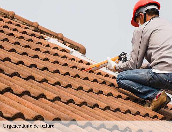 Urgence fuite de toiture  nuille-le-jalais-72370 Artisan Chasagrande